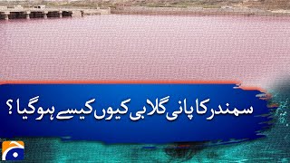 Why and How Did Gadani Jetty’s Water Turn Pink? | Shocking Environmental Mystery