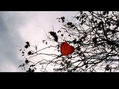 Grup Dinmeyen - Sisler Bulvarı mp3 indir