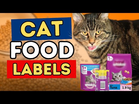 Is Your Cat Food Safe How To Read A Pet Food Label