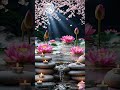 Peaceful Moonlight Lotus Pond 🌸 Sleep Ambience #shorts #relaxing