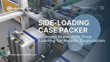 WIN-WIN PACK Side-Loading Case Packer With Drop Loading for Noodle Bags | Case Packer