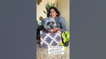 WFH with Zouk | Stylish Laptop Bag for work