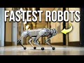 The Worlds 10 Fastest Robots