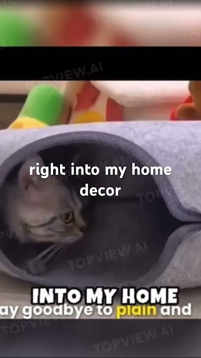 Cat bed