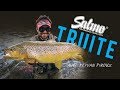 Salmo truite avec keyvan pirouz