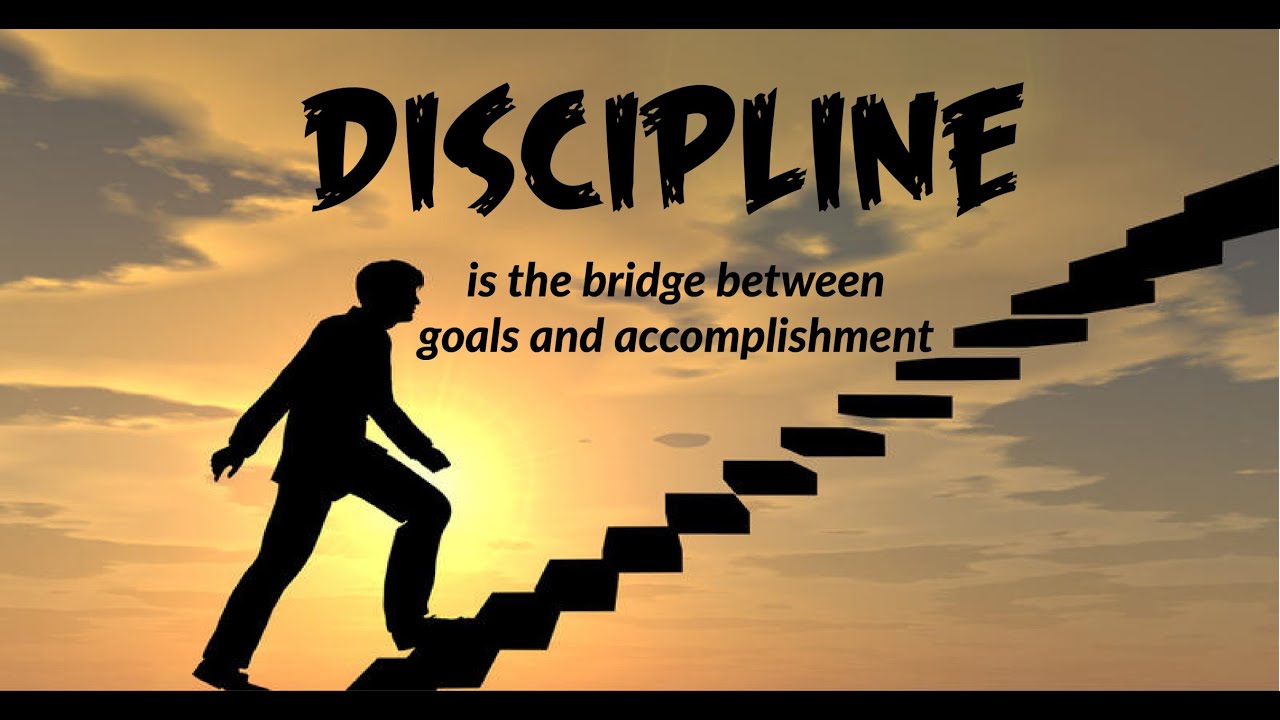 Importance Of Discipline YouTube