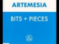 ARTEMESIA : Bits &amp; Pieces