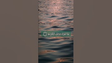 (يَٰٓأَيُّهَا ٱلۡإِنسَٰنُ مَا غَرَّكَ بِرَبِّكَ ٱلۡكَرِيمِ ..)🍀سورة {الأنفطار} محمد عبدالقادر