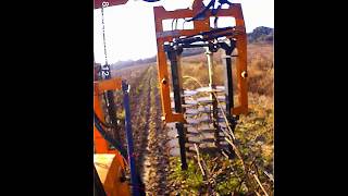 Pre-pruning a Vineyard