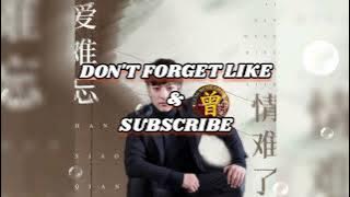 ▶️ 爱难忘情难了 Ai nan wang qing nan liao 韩小欠 Han xiao qian 【中/pinyin】