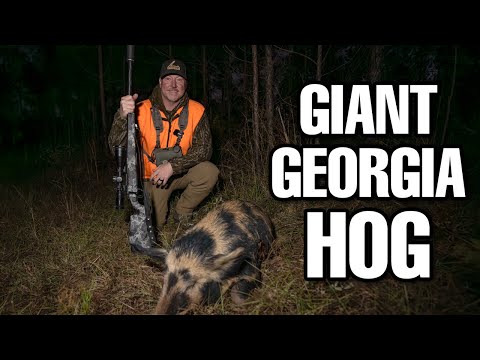 GIANT Georgia Hog | Hog Hunting In South Georgia