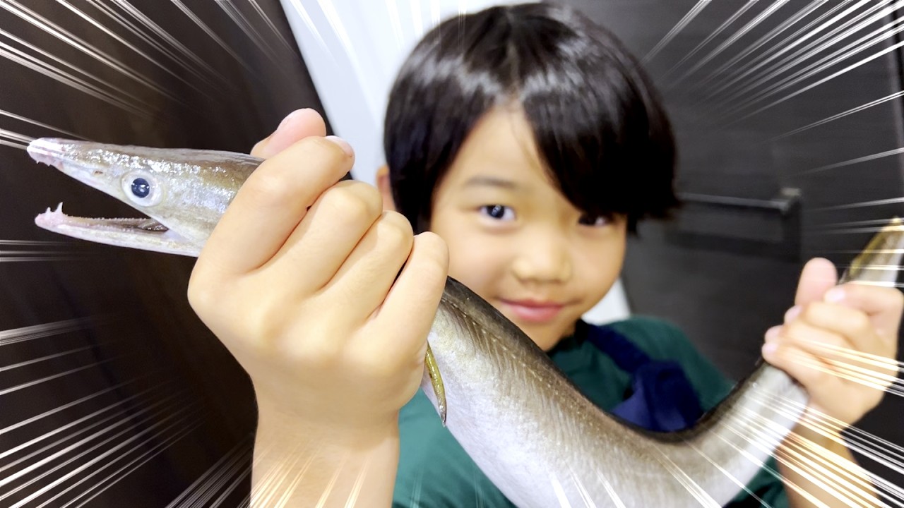 【難易度MAX】8歳が夏の高級魚ハモを捌く！骨切りから湯引きまで完全挑戦 | Kid Chef vs Rare Japanese Hamo