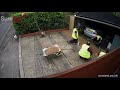 Timelapse of a resin bound driveway installation