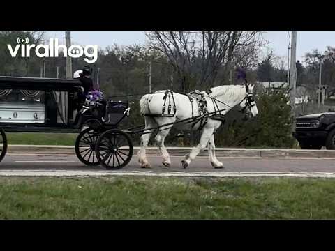 HowlingLycan's X Post: A Viral Celebration Of Life