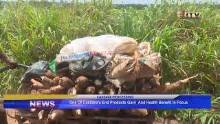 One of cassava's end products, garri and it's health benefit in focus screenshot 4