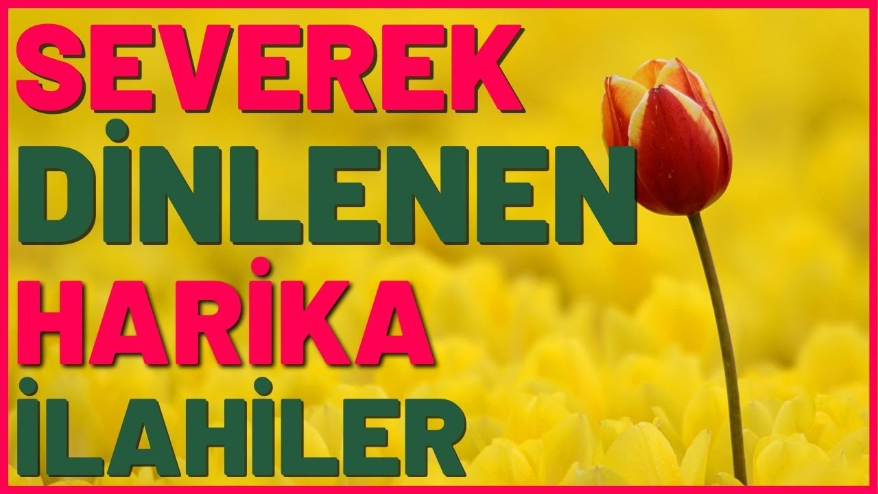 SEVEREK DİNLENEN KARIŞIK HARİKA İLAHİLER