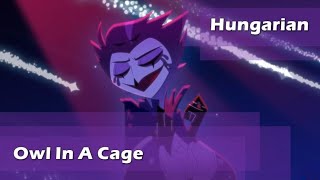 Hungarian Coverowl In A Cagesam Haft