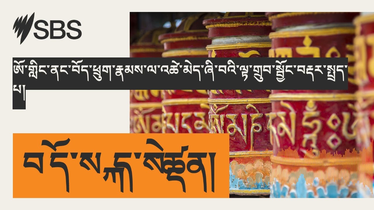 ཨོ་གླིང་ནང་བོད་ཕྲུག་རྣམས་ལ་འཚེ་མེད་ཞི་བའི་ལྟ་གྲུབ་སྦྱོང་བརྡར་སྤྲད་པ། | SBS Tibetan - SBS...