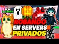 ROBANDO en SERVIDORES PRIVADOS PARTE 2 | Roblox Roba un Brainrot