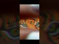 *"Trending tiger Eye Art 👁️✨ | powerful &amp; realistic Drawing by Me #ItoneYouShorts"*
