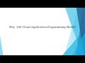 BOBBY ONLINE DEMO ON CAPM BTP NODEJS FIORI