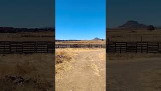 Como me gusta ese rancho🚂 La Junta, Chihuahua #train #Chepe #rancho