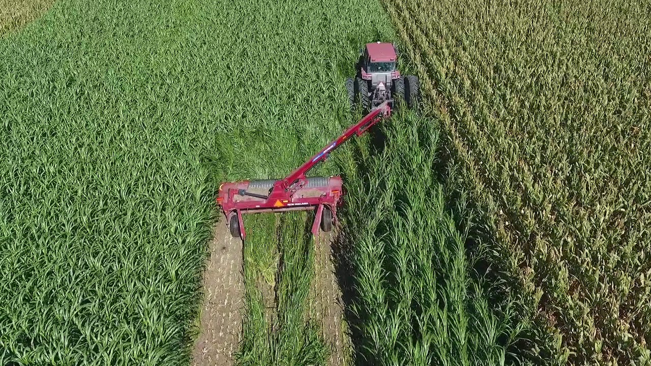 Дисковая косилка 316 скашивает высокую траву для сена!!!