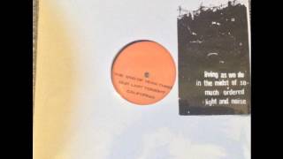 Rainy Day Regatta - Living As We Do... one-sided 12" (full) Net Worth