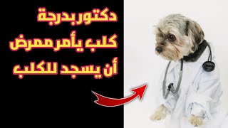 🔴دكتور بدرجة كلب 🐕 يأمر مسن أن يسجد للكلب 🐶