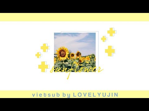[VIETSUB] Sunflower - IZ*ONE