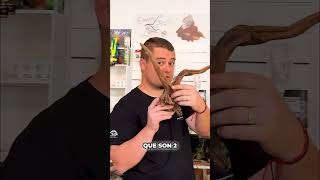 Esta madera ya te monta el nano 🪵👀