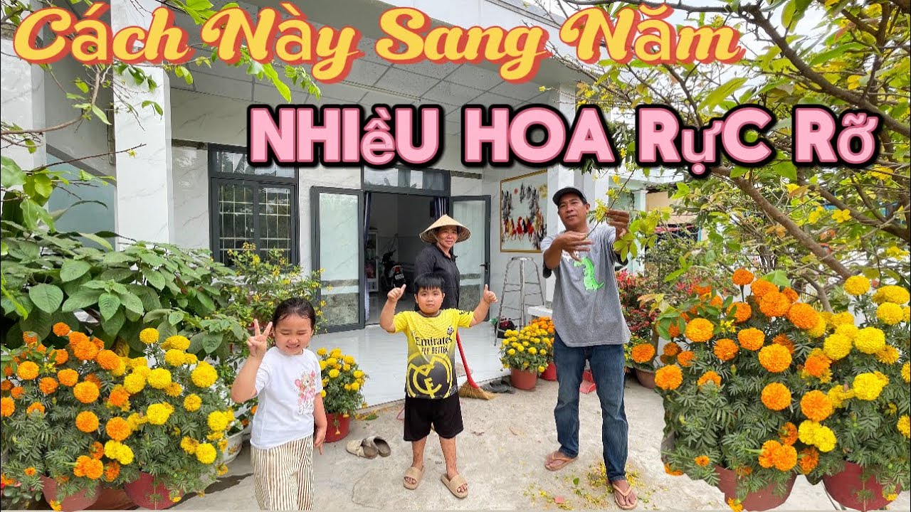 Qua Tết Dọn Dẹp Và Chia Sẻ Cách Làm CÂY MAI Sang Năm Nhiều BÔNG Rực Rở / Tập 520