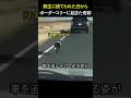 飼主に捨てられた日から… ボーダーコリーに起きた奇跡