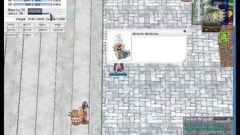 Best level to use "Miracle Medicine?" [REVO-Classic]