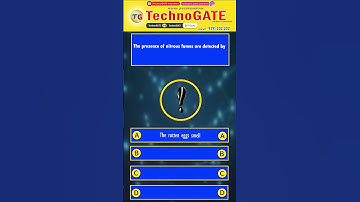 Mine environmental engineering