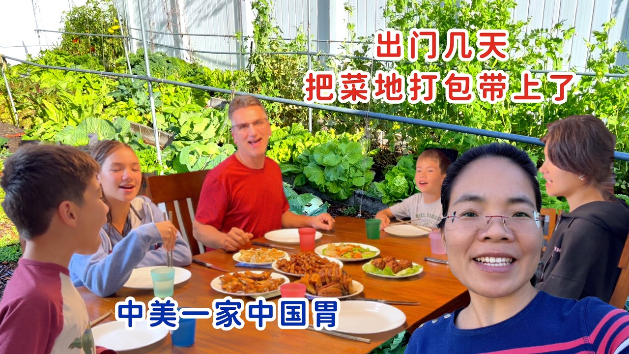 一家六口出门几天，恨不得把菜地打包带走，临走前菜地打理一下