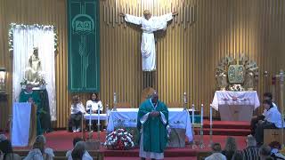 Nuestra Señora de Fatima, 6/21/2026, Duodécimo del Tiempo Ordinario; Misa 9AM.
