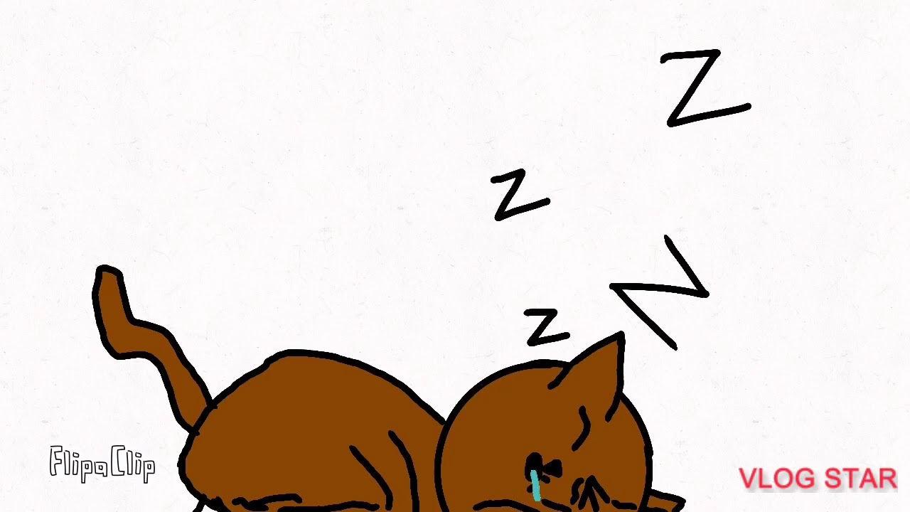 Sleeping cat 