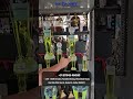 Complete Cricket Trophy Set for just ₹18,500! 🏏