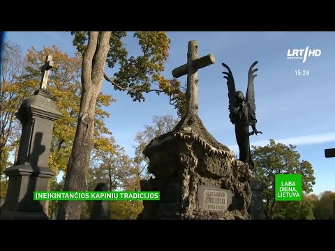 Video: Kūrybiškiausių Prieglauda