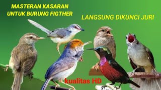 Masteran Full Isian Tembakan Kasar || Masteran Burung Lomba || langsung dikunci juri