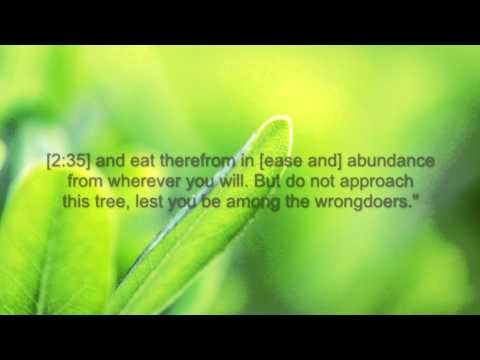 Sheikh Muhammad Siddiq Al- Minshawi - Surah Baqarah [34-38]