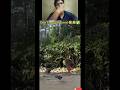 monkey tho game #monkey #trending #reallife