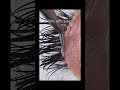 Dirty lashes cleaning| dirty lash extensions|dirty lashes asmr | dirty lashes removal| satisfying