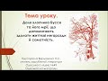 Зарубіжна літ-ра 6 клас. Доля хлопчика Буссе та його мрії, що допомагають здолати життєві негаразди