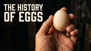 The History of Eggs | The 500 Million Year Journey of Nature's Perfect Creation....