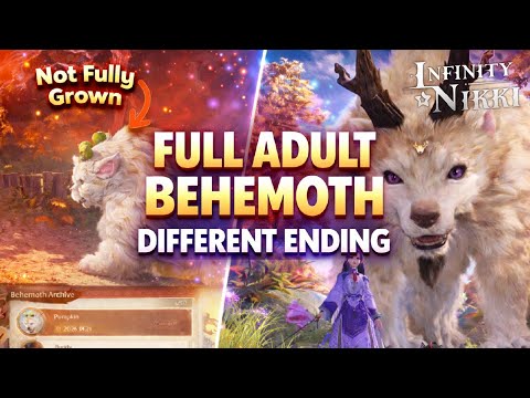 Niquidoll: The Ultimate Guide