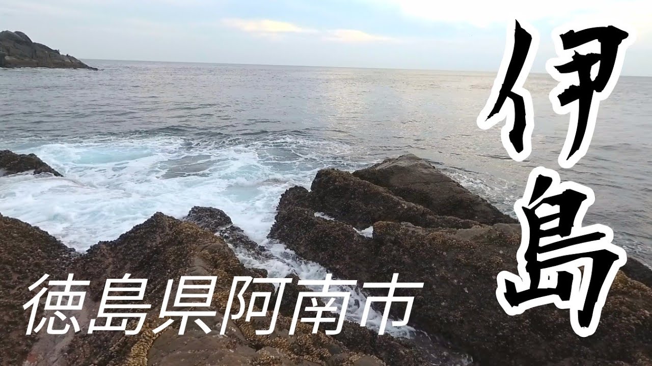磯釣り 伊島初釣行 Youtube