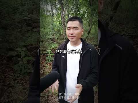 蘇聯為啥要在1945年出兵中國東北？ #近代史 #戰爭史