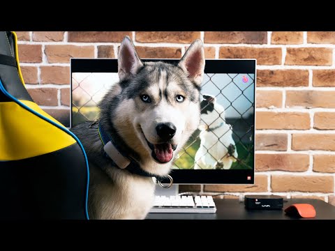 YouTube video player